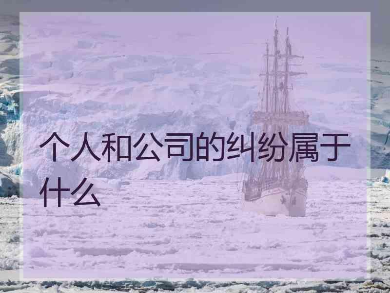 个人和公司的纠纷属于什么