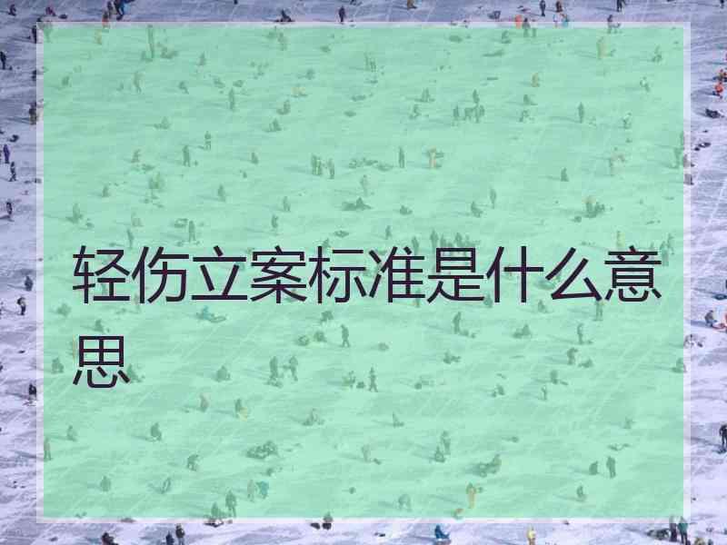 轻伤立案标准是什么意思