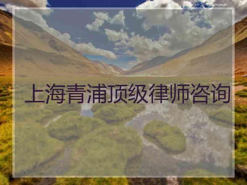 上海青浦顶级律师咨询