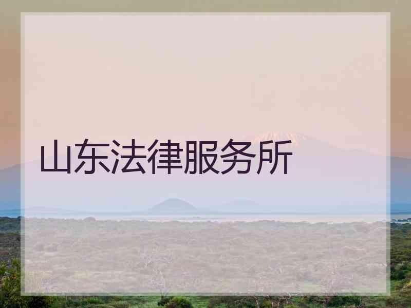 山东法律服务所