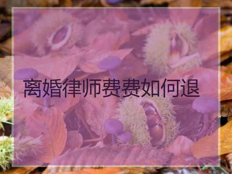 离婚律师费费如何退