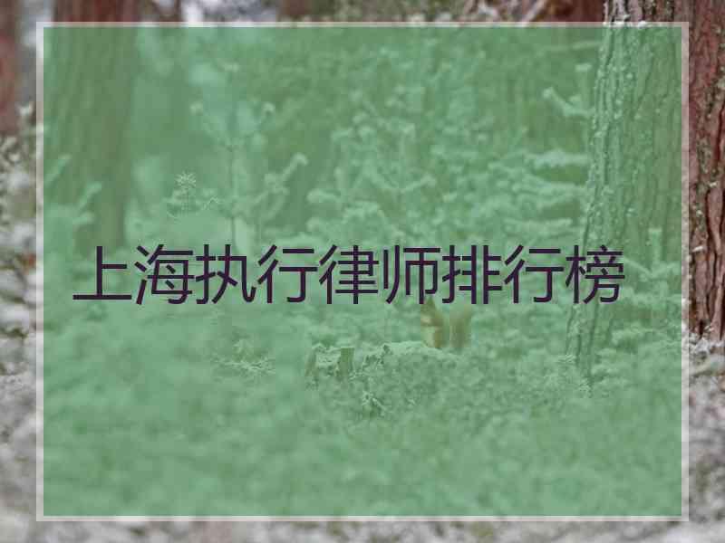 上海执行律师排行榜