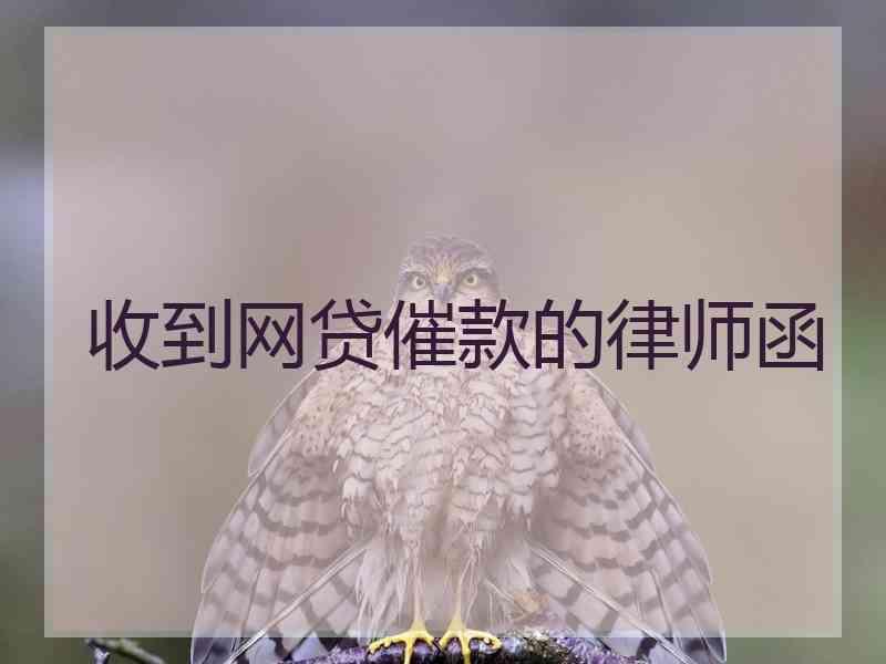 收到网贷催款的律师函