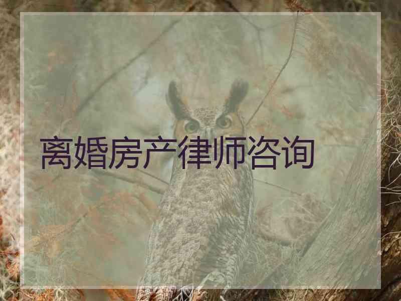 离婚房产律师咨询