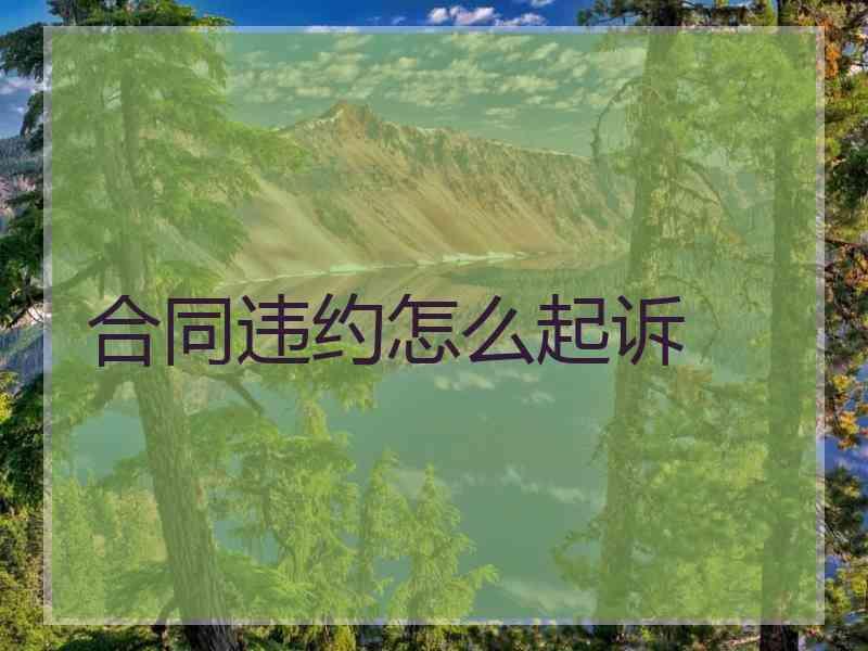 合同违约怎么起诉