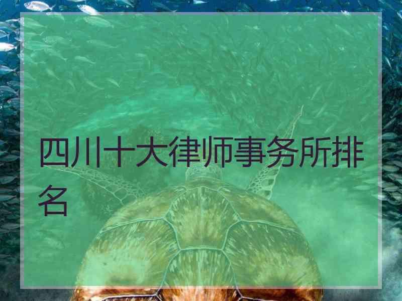 四川十大律师事务所排名