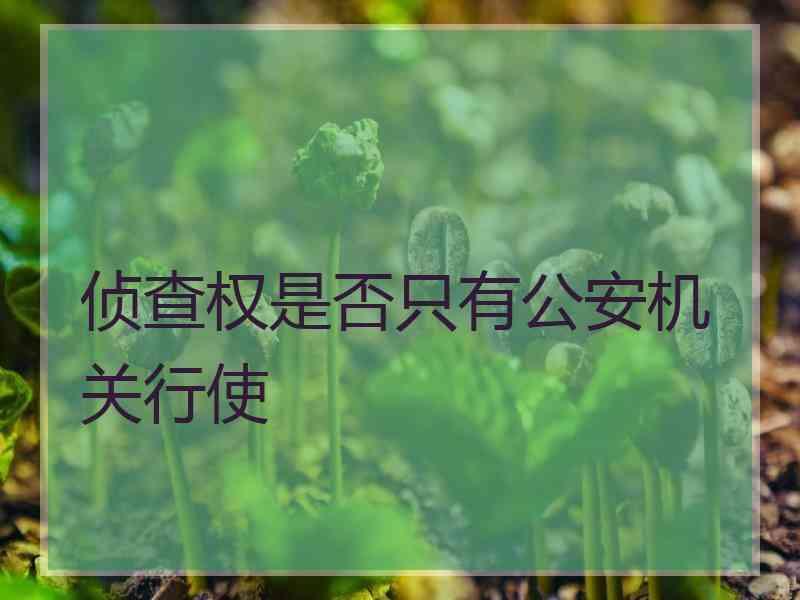 侦查权是否只有公安机关行使