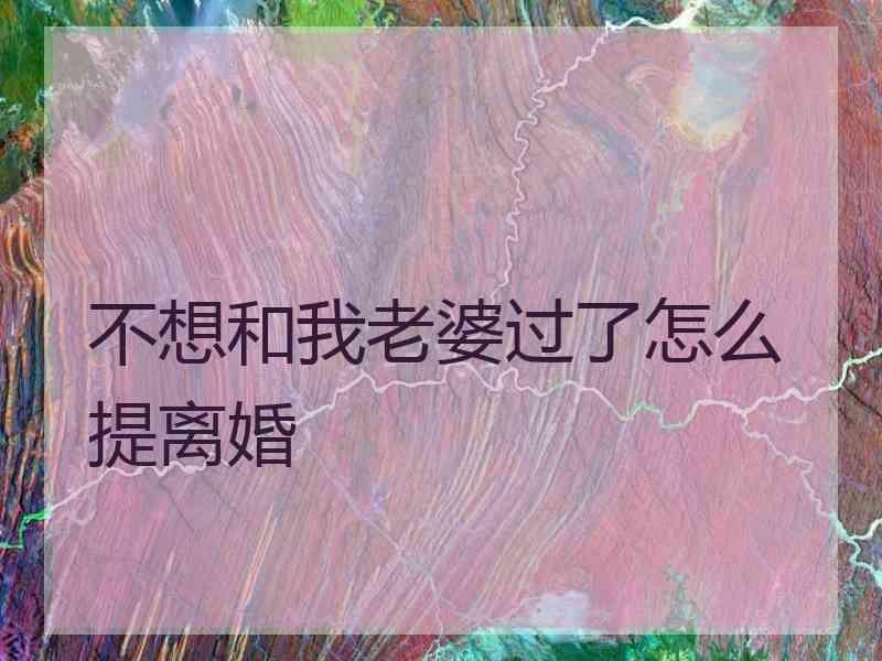 不想和我老婆过了怎么提离婚