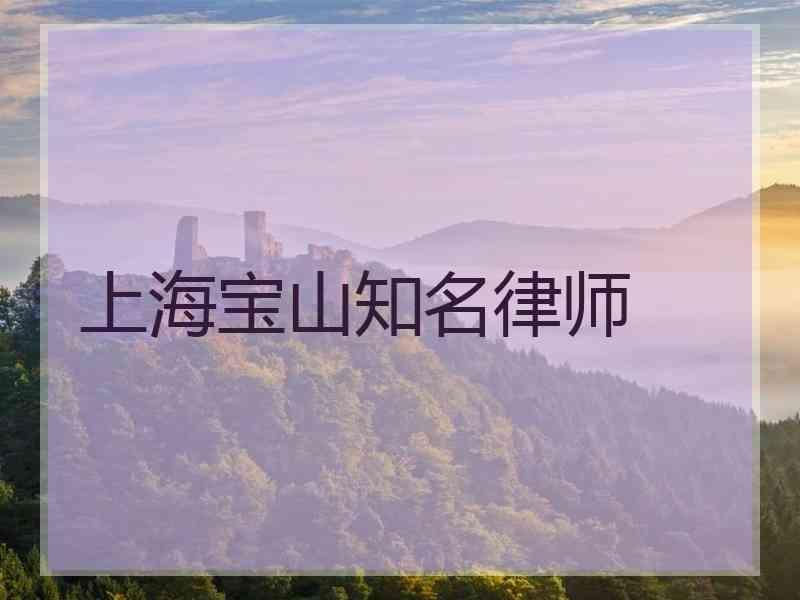 上海宝山知名律师