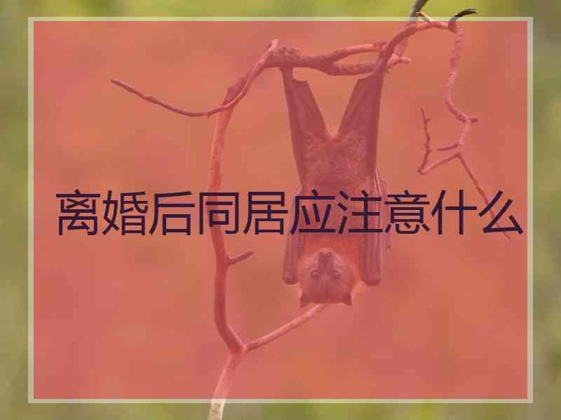 离婚后同居应注意什么