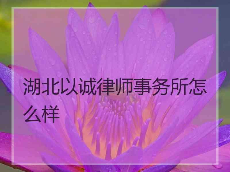 湖北以诚律师事务所怎么样