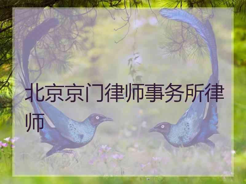 北京京门律师事务所律师