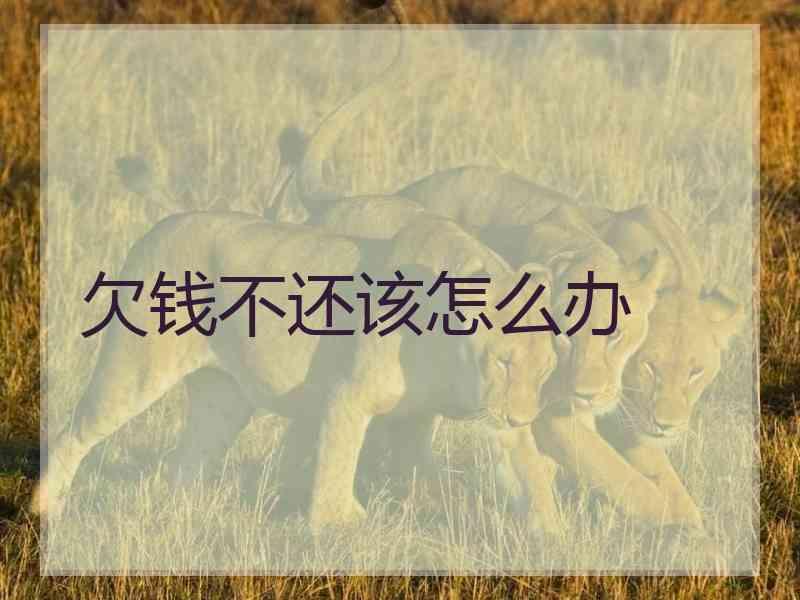 欠钱不还该怎么办