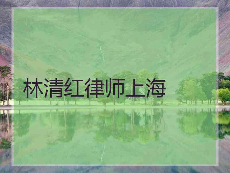 林清红律师上海