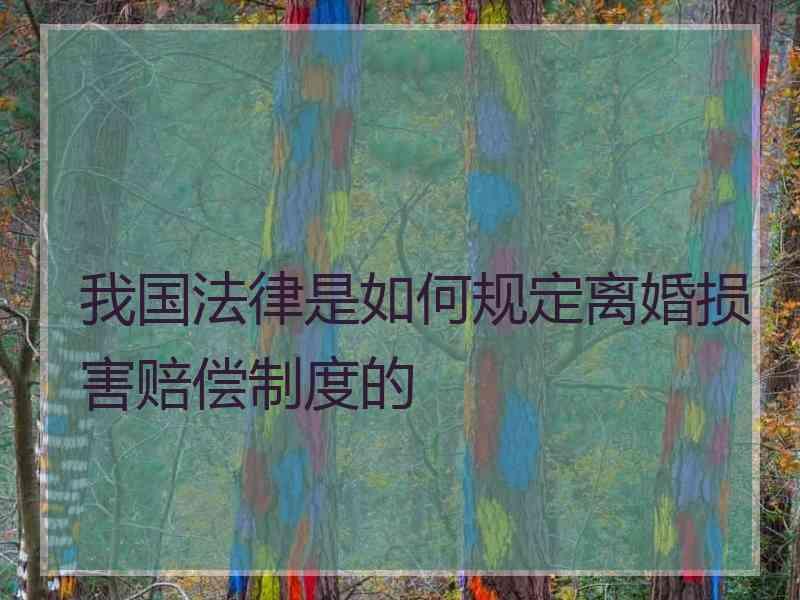 我国法律是如何规定离婚损害赔偿制度的