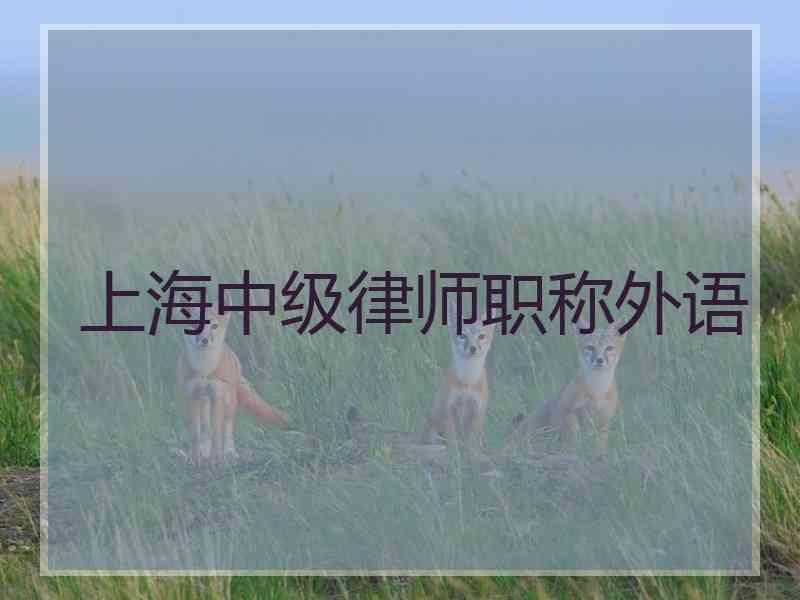 上海中级律师职称外语