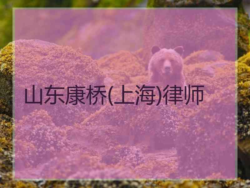 山东康桥(上海)律师