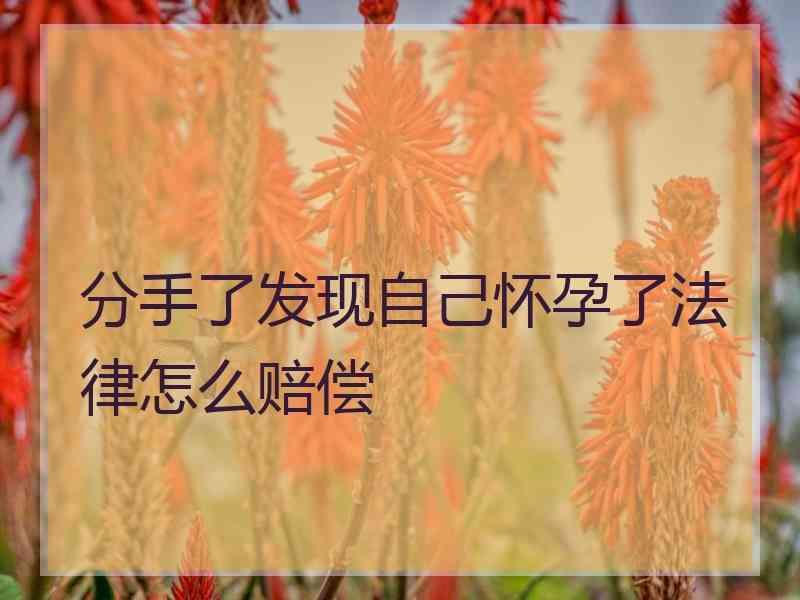 分手了发现自己怀孕了法律怎么赔偿