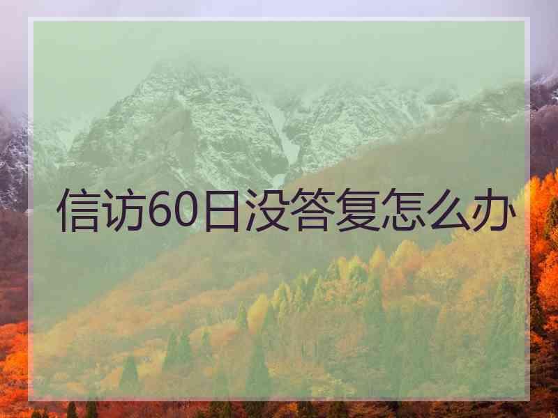 信访60日没答复怎么办