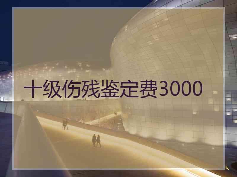 十级伤残鉴定费3000