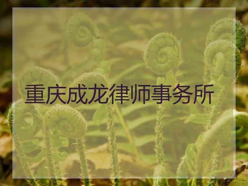 重庆成龙律师事务所