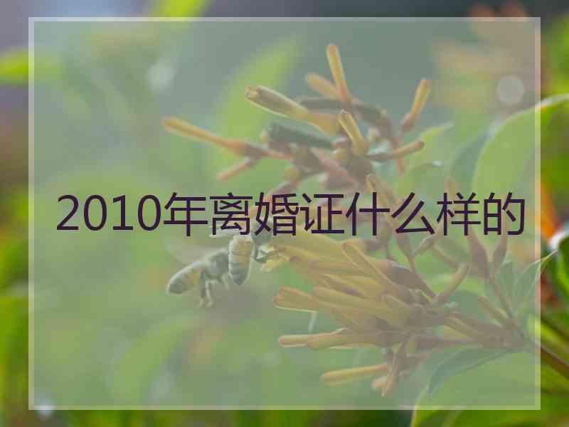 2010年离婚证什么样的