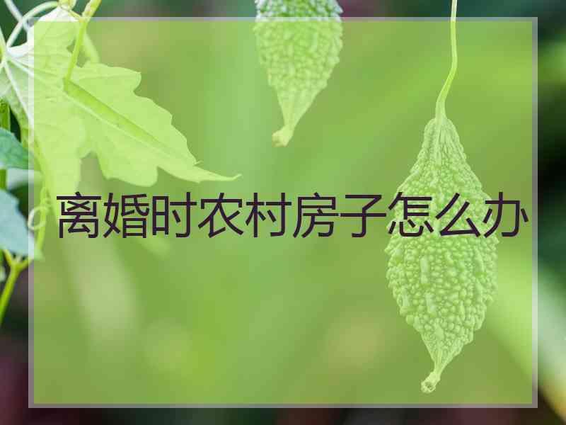 离婚时农村房子怎么办