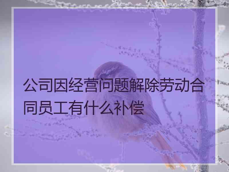 公司因经营问题解除劳动合同员工有什么补偿