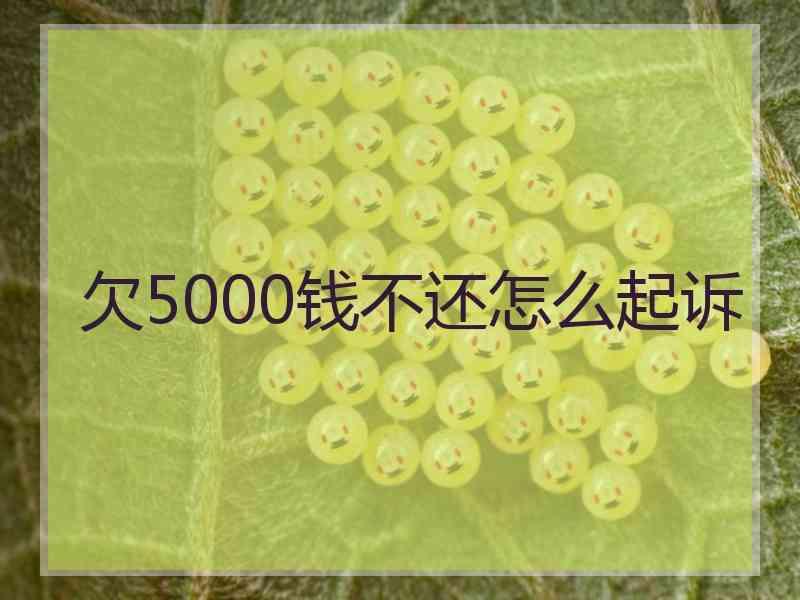 欠5000钱不还怎么起诉