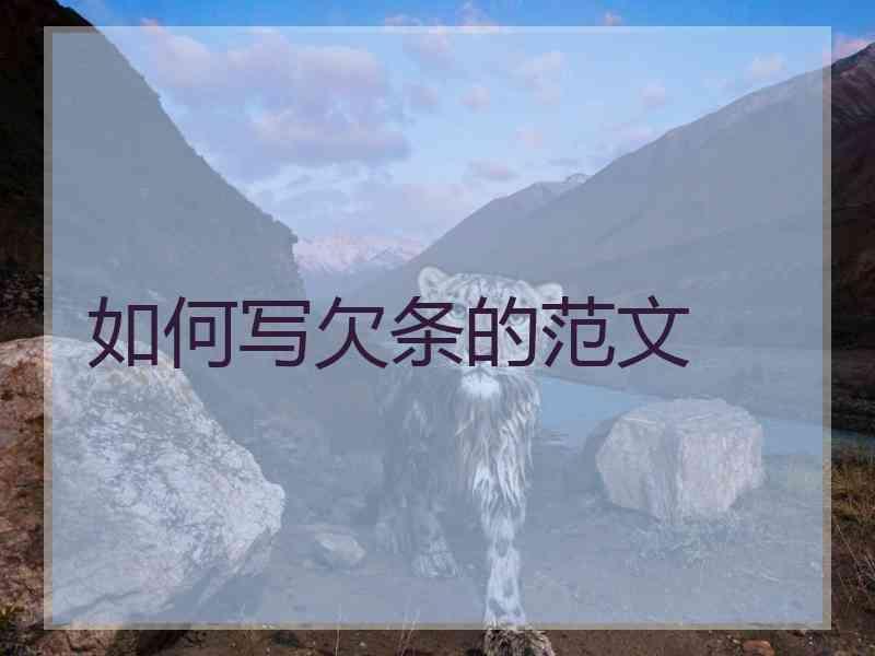 如何写欠条的范文