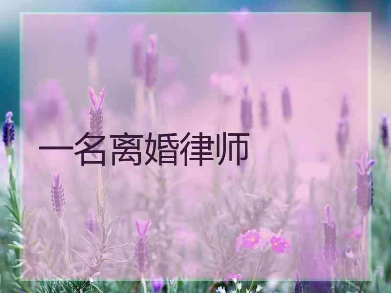 一名离婚律师