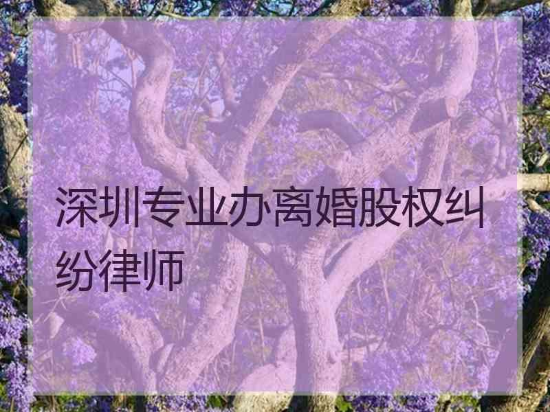 深圳专业办离婚股权纠纷律师