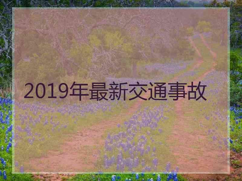 2019年最新交通事故