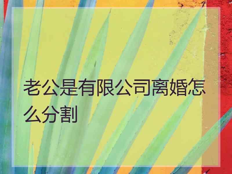 老公是有限公司离婚怎么分割