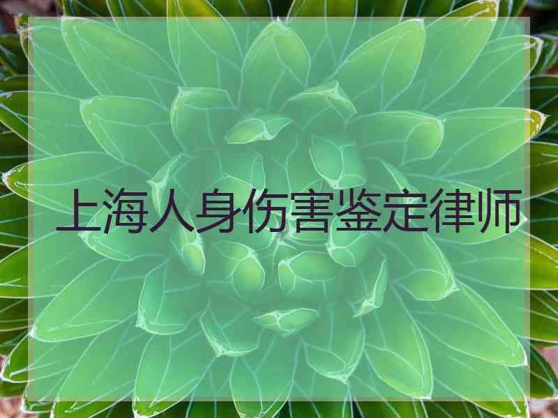 上海人身伤害鉴定律师