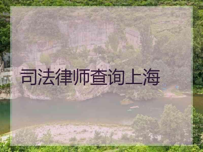 律师查询上海