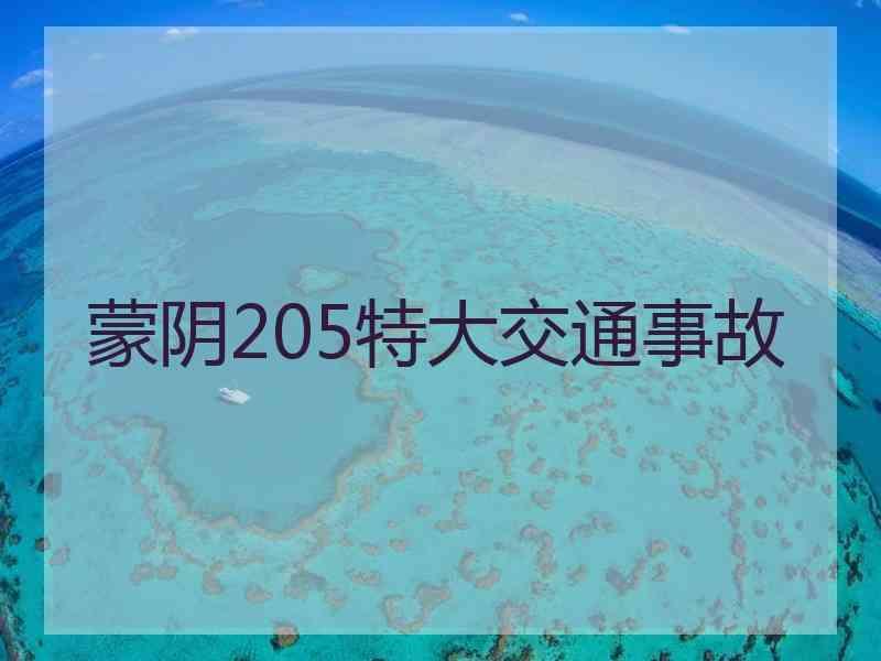 蒙阴205特大交通事故