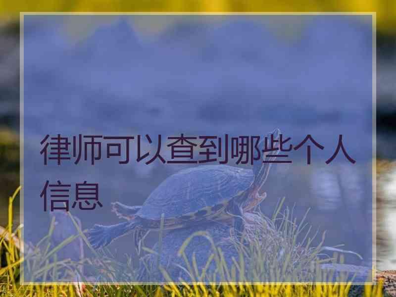 律师可以查到哪些个人信息