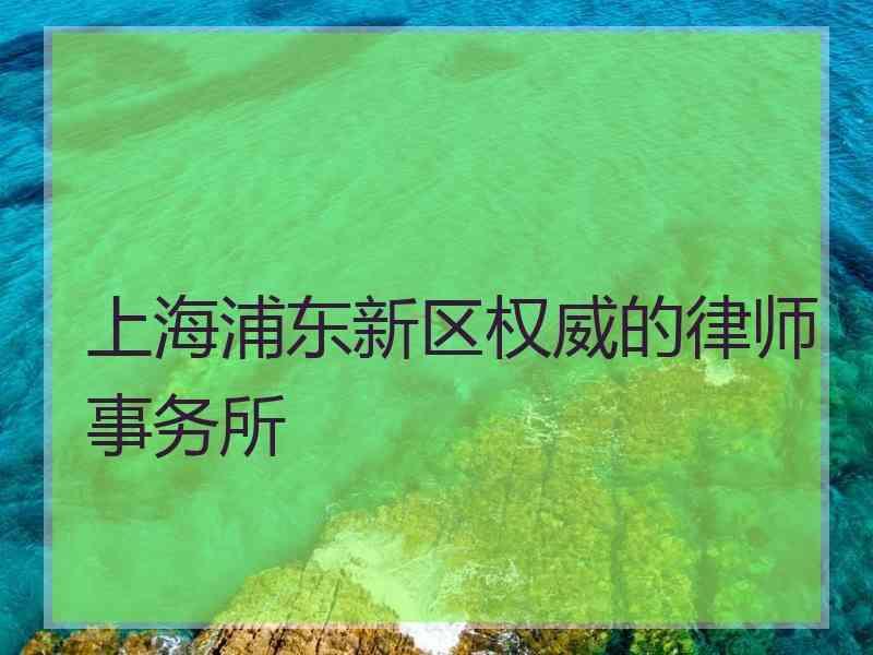 上海浦东新区权威的律师事务所