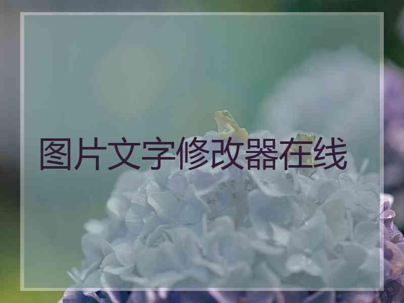 图片文字修改器在线