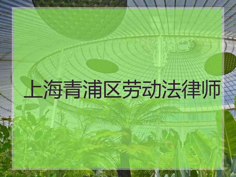 上海青浦区劳动法律师