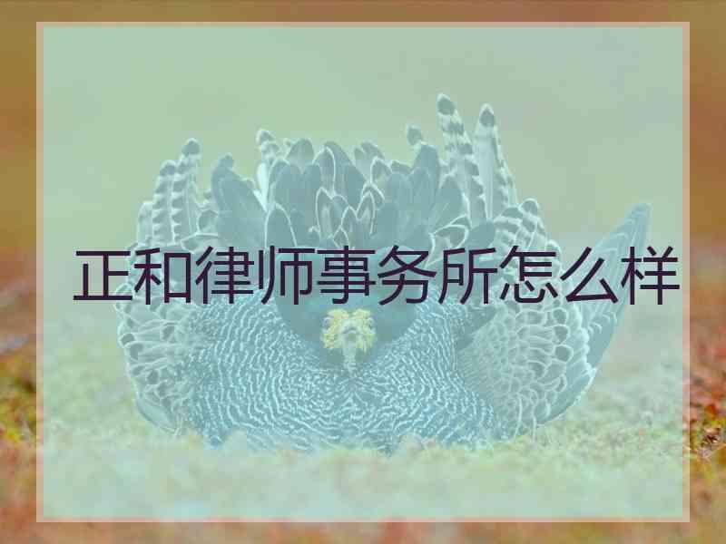 正和律师事务所怎么样