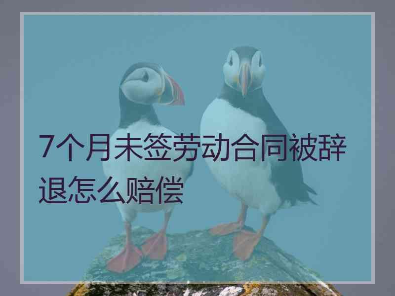 7个月未签劳动合同被辞退怎么赔偿