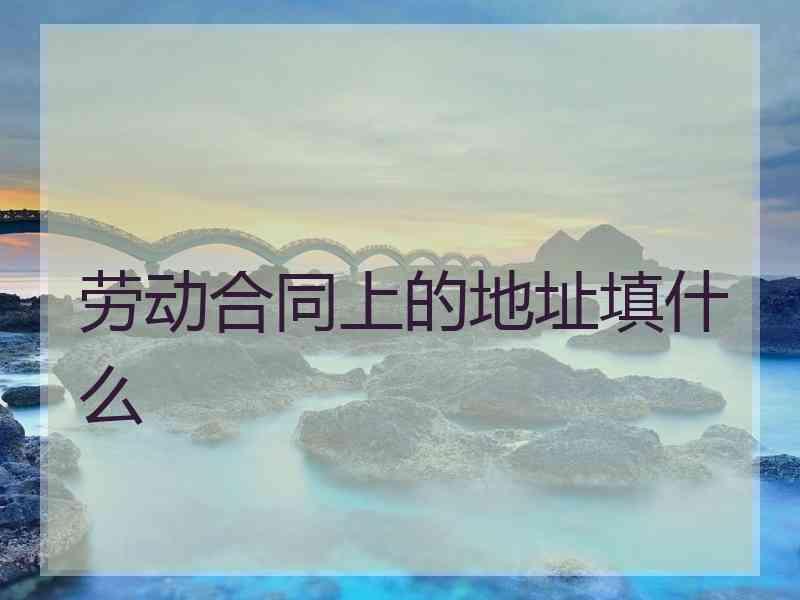 劳动合同上的地址填什么
