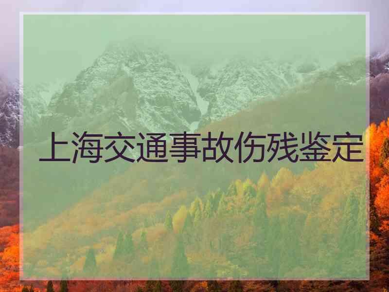 上海交通事故伤残鉴定