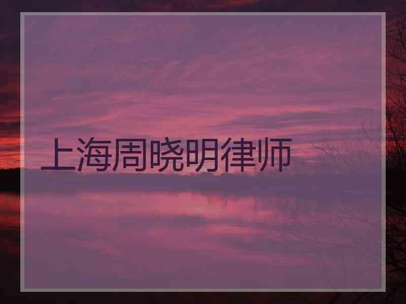 上海周晓明律师