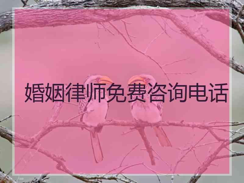 婚姻律师免费咨询电话