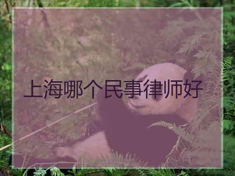 上海哪个民事律师好