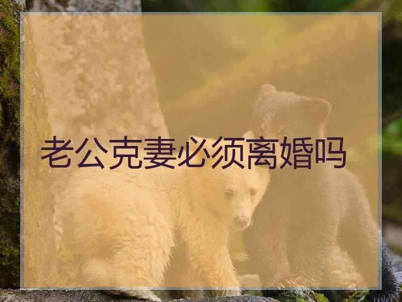 老公克妻必须离婚吗