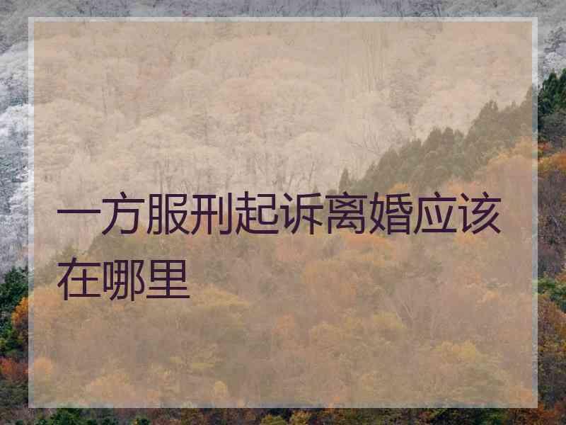 一方服刑起诉离婚应该在哪里